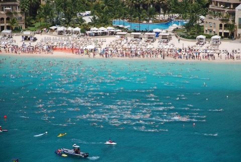 Flowers Sea Swim